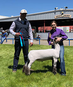 Junk CLub Lambs Winners