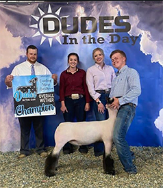 Junk Club Lambs Winners